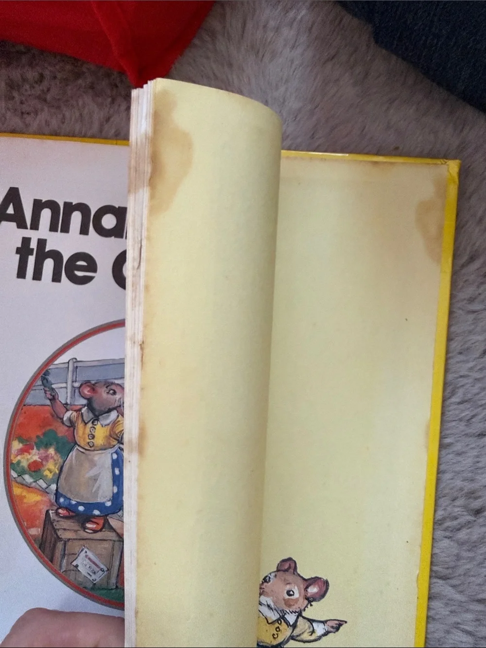 Annabel Visits The Country by Barbara Hayes Large Hardcover 1986 VINTAGE